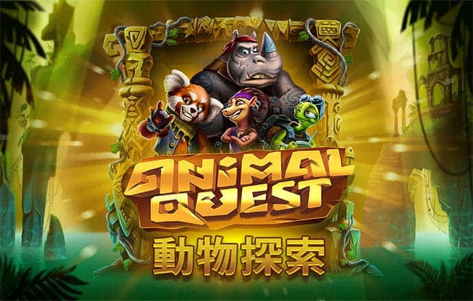 im体育app下载官网